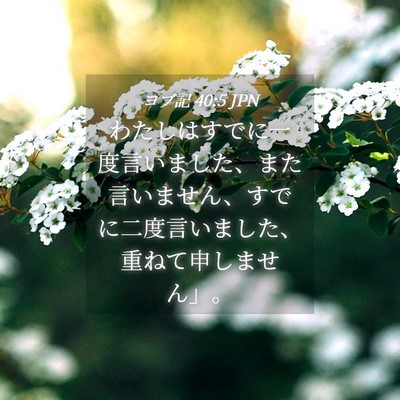 Picture 04 - ヨブ記 40:5 JPN - わたしはすでに一度言いました、ま - Bible Verse Picture