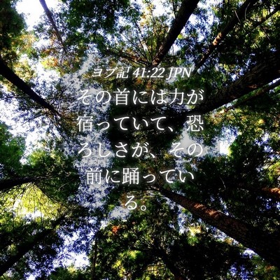 Picture 04 - ヨブ記 41:22 JPN - その首には力が宿っていて、恐ろし - Bible Verse Picture