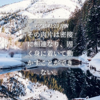 Picture 04 - ヨブ記 41:23 JPN - その肉片は密接に相連なり、固く身 - Bible Verse Picture