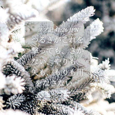 Picture 04 - ヨブ記 41:26 JPN - つるぎがこれを撃っても、きかない - Bible Verse Picture