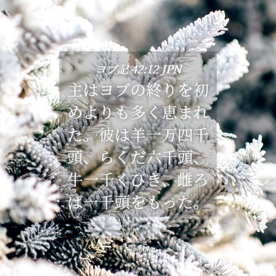 Picture 04 - ヨブ記 42:12 JPN - 主はヨブの終りを初めよりも多く恵 - Bible Verse Picture