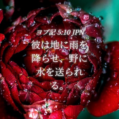 Picture 04 - ヨブ記 5:10 JPN - 彼は地に雨を降らせ、野に水を送ら - Bible Verse Picture