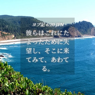 Picture 04 - ヨブ記 6:20 JPN - 彼らはこれにたよったために失望し - Bible Verse Picture