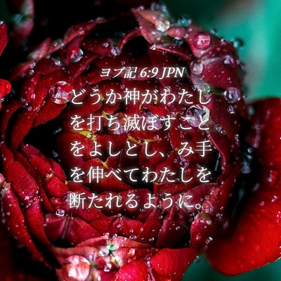 Picture 04 - ヨブ記 6:9 JPN - どうか神がわたしを打ち滅ぼすこと - Bible Verse Picture