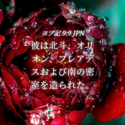 Picture 04 - ヨブ記 9:9 JPN - 彼は北斗、オリオン、プレアデスお - Bible Verse Picture