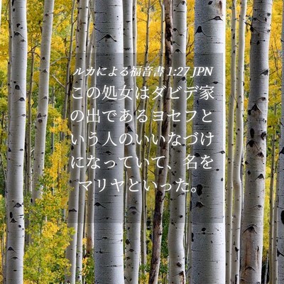 Picture 04 - ルカによる福音書 1:27 JPN - この処女はダビデ家の出であるヨセ - Bible Verse Picture