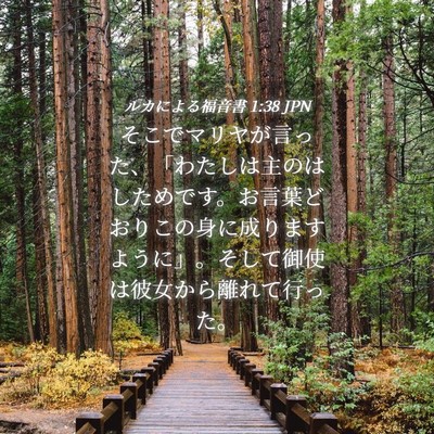 Picture 04 - ルカによる福音書 1:38 JPN - そこでマリヤが言った、「わたしは - Bible Verse Picture