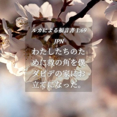 Picture 04 - ルカによる福音書 1:69 JPN - わたしたちのために救の角を僕ダビ - Bible Verse Picture