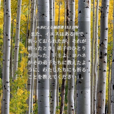 Picture 04 - ルカによる福音書 11:1 JPN - また、イエスはある所で祈っておら - Bible Verse Picture