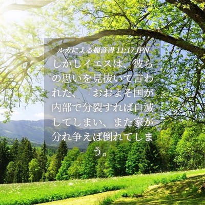 Picture 04 - ルカによる福音書 11:17 JPN - しかしイエスは、彼らの思いを見抜 - Bible Verse Picture