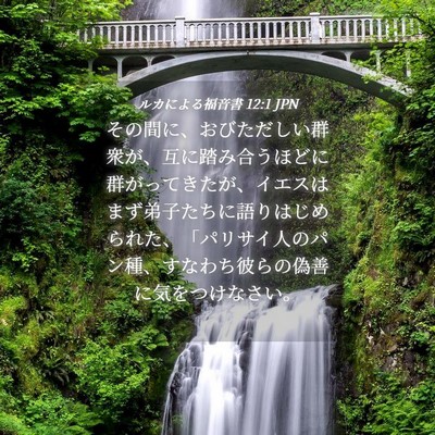 Picture 04 - ルカによる福音書 12:1 JPN - その間に、おびただしい群衆が、互 - Bible Verse Picture