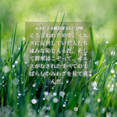 Picture 04 - ルカによる福音書 13:17 JPN - こう言われたので、イエスに反対し - Bible Verse Picture