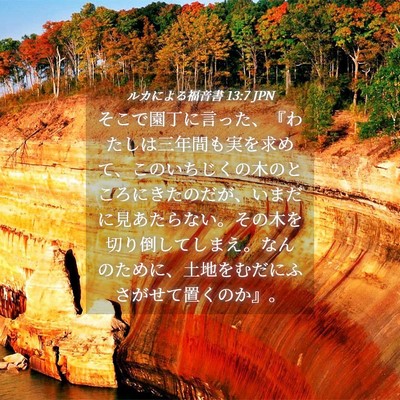 Picture 04 - ルカによる福音書 13:7 JPN - そこで園丁に言った、『わたしは三 - Bible Verse Picture