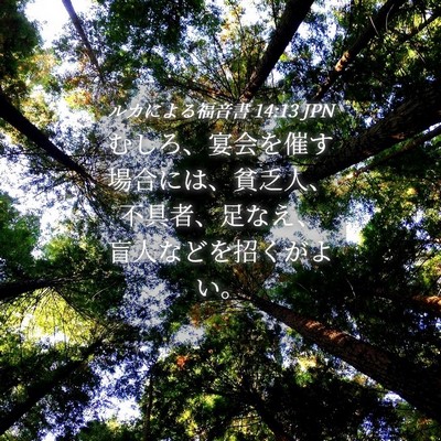 Picture 04 - ルカによる福音書 14:13 JPN - むしろ、宴会を催す場合には、貧乏 - Bible Verse Picture