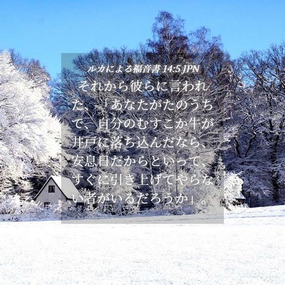 Picture 04 - ルカによる福音書 14:5 JPN - それから彼らに言われた、「あなた - Bible Verse Picture