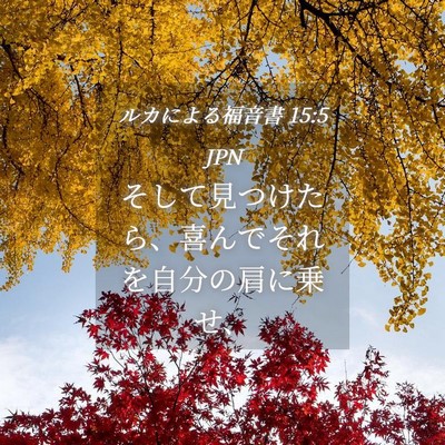 Picture 04 - ルカによる福音書 15:5 JPN - そして見つけたら、喜んでそれを自 - Bible Verse Picture