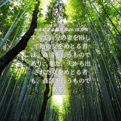 Picture 04 - ルカによる福音書 16:18 JPN - すべて自分の妻を出して他の女をめ - Bible Verse Picture