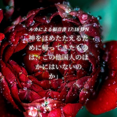 Picture 04 - ルカによる福音書 17:18 JPN - 神をほめたたえるために帰ってきた - Bible Verse Picture