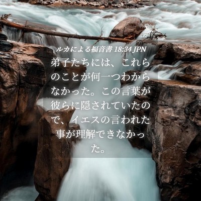 Picture 04 - ルカによる福音書 18:34 JPN - 弟子たちには、これらのことが何一 - Bible Verse Picture