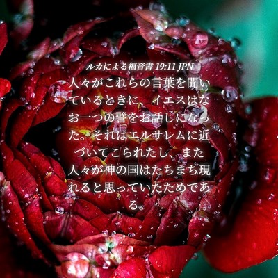 Picture 04 - ルカによる福音書 19:11 JPN - 人々がこれらの言葉を聞いていると - Bible Verse Picture