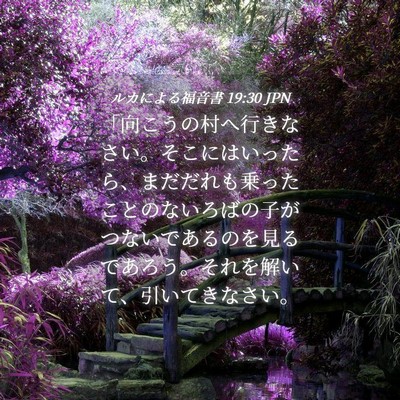 Picture 04 - ルカによる福音書 19:30 JPN - 「向こうの村へ行きなさい。そこに - Bible Verse Picture