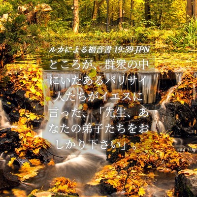 Picture 04 - ルカによる福音書 19:39 JPN - ところが、群衆の中にいたあるパリ - Bible Verse Picture