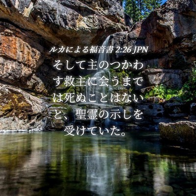 Picture 04 - ルカによる福音書 2:26 JPN - そして主のつかわす救主に会うまで - Bible Verse Picture