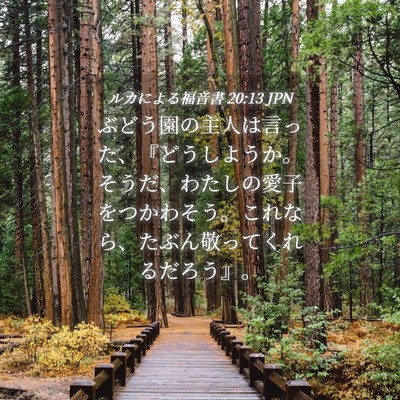 Picture 04 - ルカによる福音書 20:13 JPN - ぶどう園の主人は言った、『どうし - Bible Verse Picture