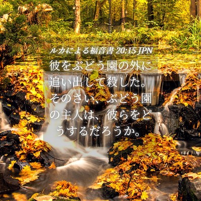 Picture 04 - ルカによる福音書 20:15 JPN - 彼をぶどう園の外に追い出して殺し - Bible Verse Picture