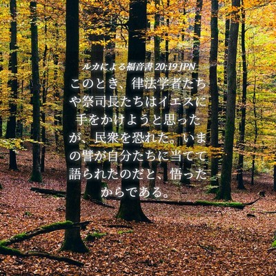 Picture 04 - ルカによる福音書 20:19 JPN - このとき、律法学者たちや祭司長た - Bible Verse Picture