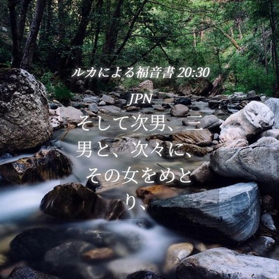 Picture 04 - ルカによる福音書 20:30 JPN - そして次男、三男と、次々に、その - Bible Verse Picture