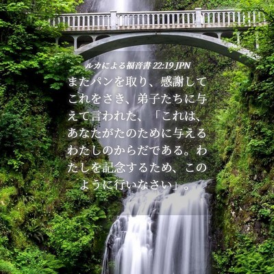 Picture 04 - ルカによる福音書 22:19 JPN - またパンを取り、感謝してこれをさ - Bible Verse Picture