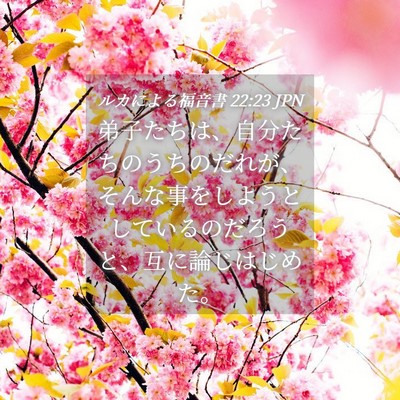 Picture 04 - ルカによる福音書 22:23 JPN - 弟子たちは、自分たちのうちのだれ - Bible Verse Picture