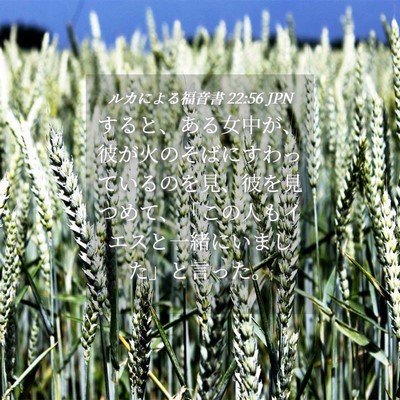 Picture 04 - ルカによる福音書 22:56 JPN - すると、ある女中が、彼が火のそば - Bible Verse Picture