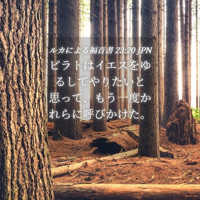 Picture 04 - ルカによる福音書 23:20 JPN - ピラトはイエスをゆるしてやりたい - Bible Verse Picture