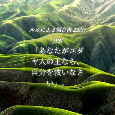 Picture 04 - ルカによる福音書 23:37 JPN - 「あなたがユダヤ人の王なら、自分 - Bible Verse Picture