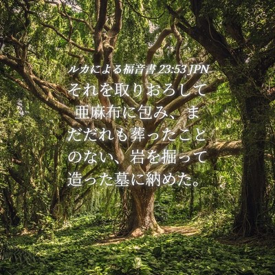 Picture 04 - ルカによる福音書 23:53 JPN - それを取りおろして亜麻布に包み、 - Bible Verse Picture