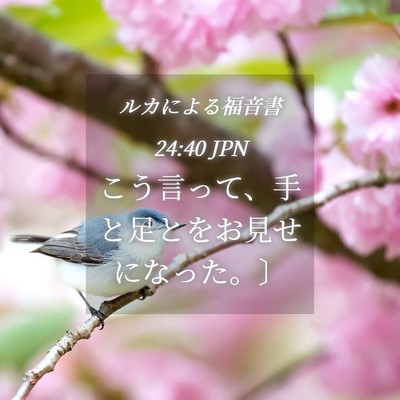 Picture 04 - ルカによる福音書 24:40 JPN - こう言って、手と足とをお見せにな - Bible Verse Picture