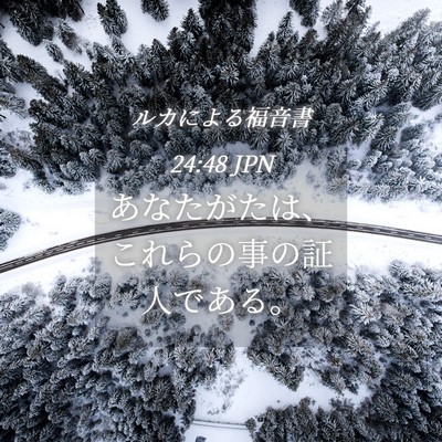 Picture 04 - ルカによる福音書 24:48 JPN - あなたがたは、これらの事の証人で - Bible Verse Picture