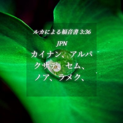 Picture 04 - ルカによる福音書 3:36 JPN - カイナン、アルパクサデ、セム、ノ - Bible Verse Picture