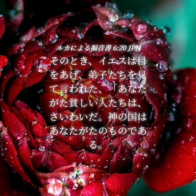 Picture 04 - ルカによる福音書 6:20 JPN - そのとき、イエスは目をあげ、弟子 - Bible Verse Picture
