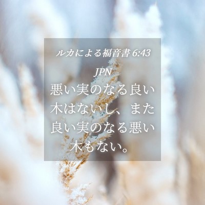 Picture 04 - ルカによる福音書 6:43 JPN - 悪い実のなる良い木はないし、また - Bible Verse Picture