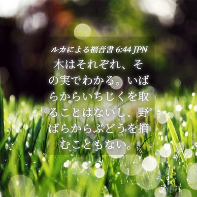 Picture 04 - ルカによる福音書 6:44 JPN - 木はそれぞれ、その実でわかる。い - Bible Verse Picture