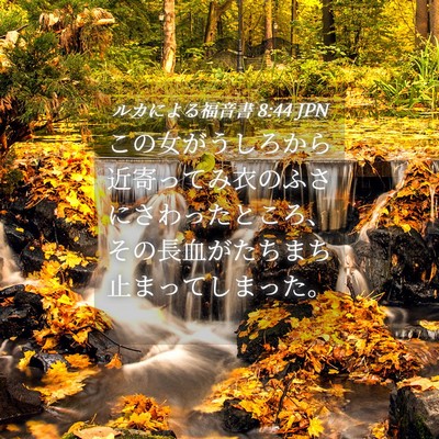 Picture 04 - ルカによる福音書 8:44 JPN - この女がうしろから近寄ってみ衣の - Bible Verse Picture
