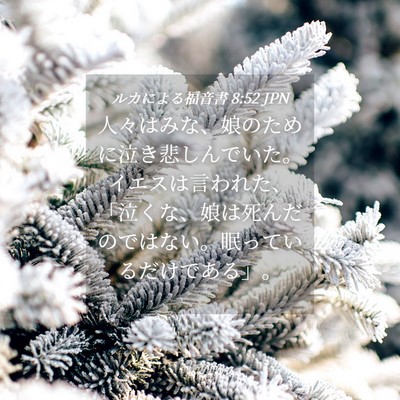 Picture 04 - ルカによる福音書 8:52 JPN - 人々はみな、娘のために泣き悲しん - Bible Verse Picture