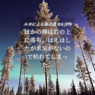 Picture 04 - ルカによる福音書 8:6 JPN - ほかの種は岩の上に落ち、はえはし - Bible Verse Picture