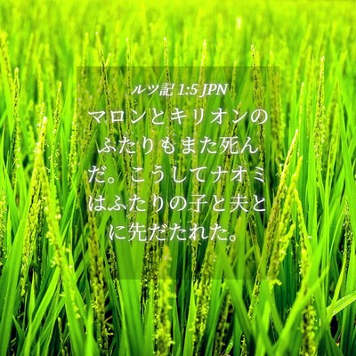 Picture 04 - ルツ記 1:5 JPN - マロンとキリオンのふたりもまた死 - Bible Verse Picture