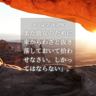 Picture 04 - ルツ記 2:16 JPN - また彼女のために束からわざと抜き - Bible Verse Picture