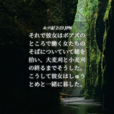 Picture 04 - ルツ記 2:23 JPN - それで彼女はボアズのところで働く - Bible Verse Picture