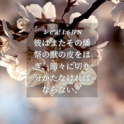 Picture 04 - レビ記 1:6 JPN - 彼はまたその燔祭の獣の皮をはぎ、 - Bible Verse Picture